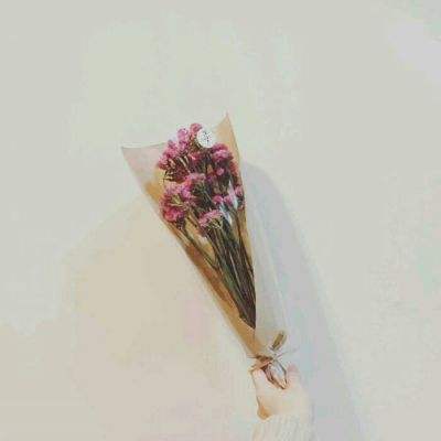 37蓝月传奇手机版下载